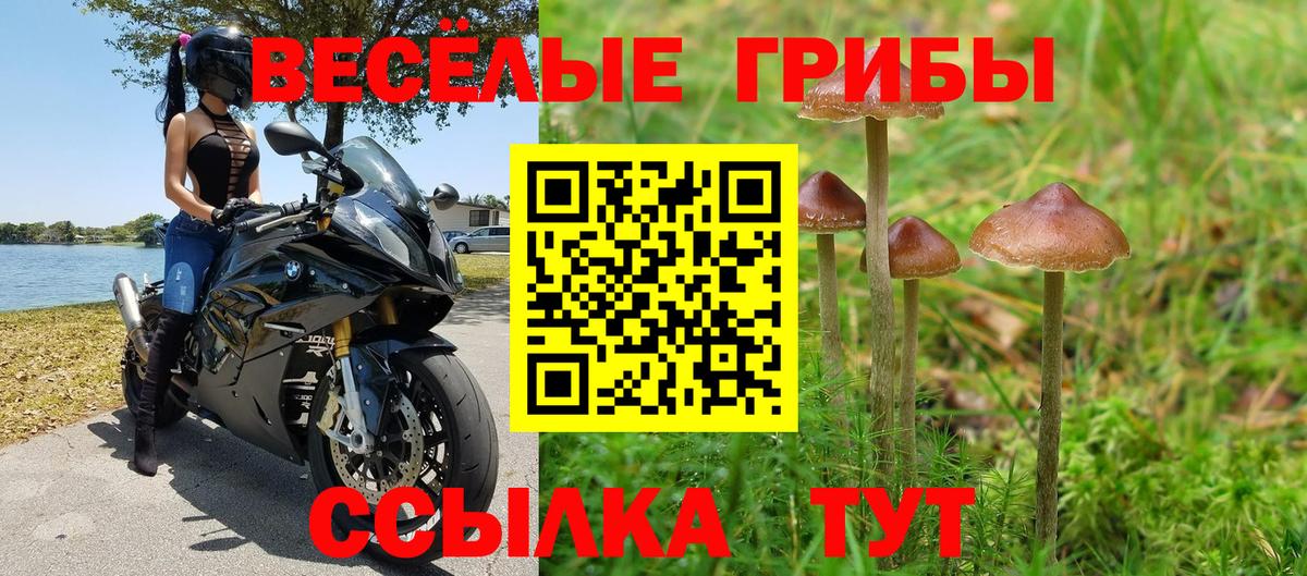 Псилоцибиновые грибы ЛСД  Вход с VPN  Лыткарино 